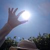fullsunn29