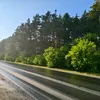 davis_652