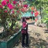_andinnfs