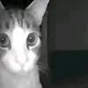 abderisbroke