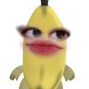 nymsmlia_