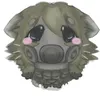 _stalker16