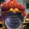 monkey_13337