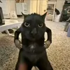 aizob_90