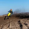 wooovids