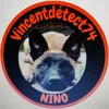 vincentdetect74