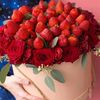omaimaeldeeb90