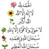dy4if4iuvssk