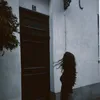 defnotavin