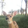 twinkywinkylalala