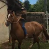 marco__tulio22