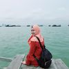 immi_lim