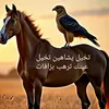useking.01