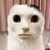 pipino_mamarindo