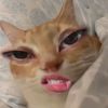 xmariaxtt2