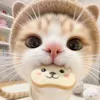 diemhang_2911