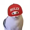 hapihapi321