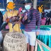 fariddiraf476