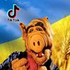 ALF  Musical 🎸🎷🇺🇦