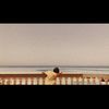 mmoh_18