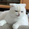 tueuyen_8430
