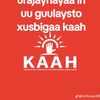 casayr356