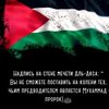 user9514863255055