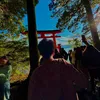 taiga381