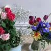 robinahussain7