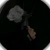 boqran____
