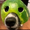 dennis_1008_