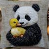 pandaqivirciq