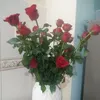 dynyto12bz52