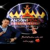 ANSONI_𝘱𝘳𝘰𝘫𝘦𝘤𝘵