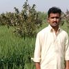 malikmehran1234