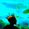 caseem_thedreams