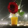 dypdlrsmumn7