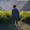 thistepp