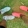 alxnso_0631