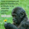 thelmacisneros7