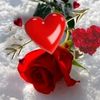 rana0712233
