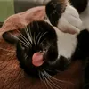 rebaroobarb
