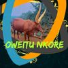 oweitu.nkore