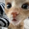 er3mo