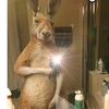 oscar_xd2007