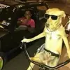 jfccxx_