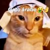 gato_ruso24