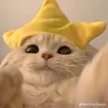 sweetcutegirl211