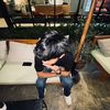 bayuaps_