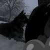 nozimov8